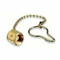 Western Enterprises We Cp-580 Chain & Plug 312-CP-580